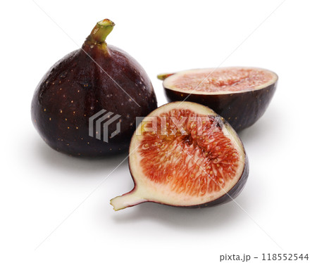 黒イチジク(ビオレソリエス) 118552544