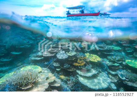 沖縄フォト 宮古島八重干瀬の珊瑚礁半水面イメージの写真素材