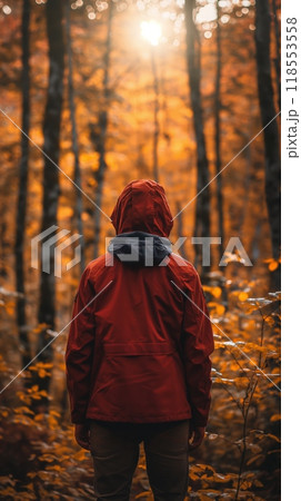 Person red jacket exploring sunlit autumn forest orange foliage back view horizontal 118553558