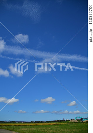 石川県金沢市　秋の空と雲 118553706