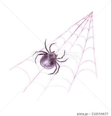 Black spider on web. Monochrome drawing of dangerous arthropod arachnid, insect. Watercolor hand drawn cutout isolated clipart for halloween, horror illustrations. Karakurt, black widow, Latrodectus 118554677