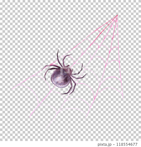 Black spider on web. Monochrome drawing of dangerous arthropod arachnid, insect. Watercolor hand drawn cutout isolated clipart for halloween, horror illustrations. Karakurt, black widow, Latrodectus 118554677