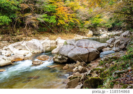 奥津渓の秋 　紅葉の渓谷7　岡山県苫田郡鏡野町 118554868