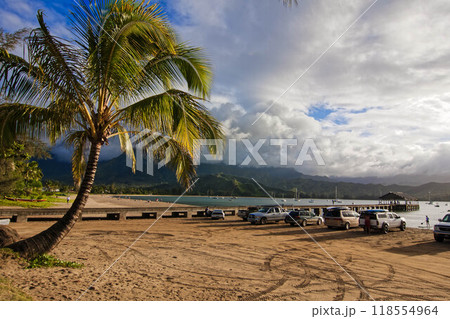 カウアイ島　ハナレイ・ビーチ・パーク 118554964