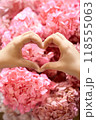 Woman's hands shaping heart in front of pink blossoms 118555063