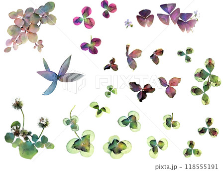 デコレーション用植物イラスト素材セット10(クローバー他) デコレーション用植物イラスト素材セット10(クローバー他) 118555191