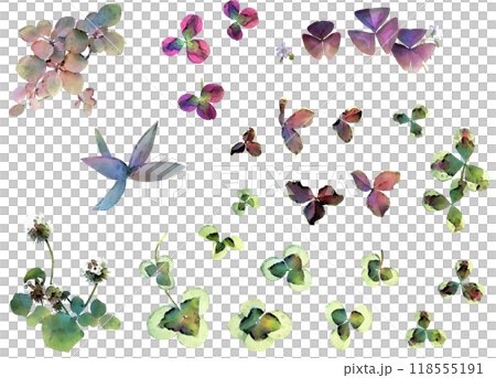 デコレーション用植物イラスト素材セット10(クローバー他) デコレーション用植物イラスト素材セット10(クローバー他) 118555191