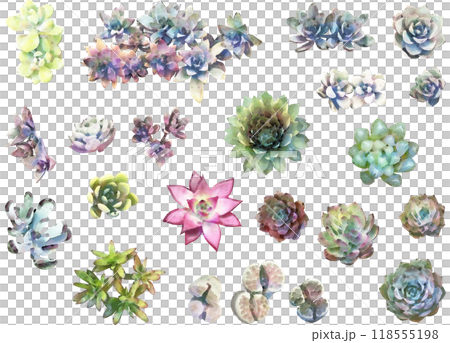 多肉植物イラスト素材セット 118555198