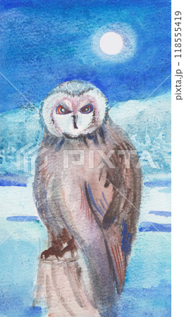 lonely owl in the moonlight in winter lonely owl in the moonlight in winter 118555419