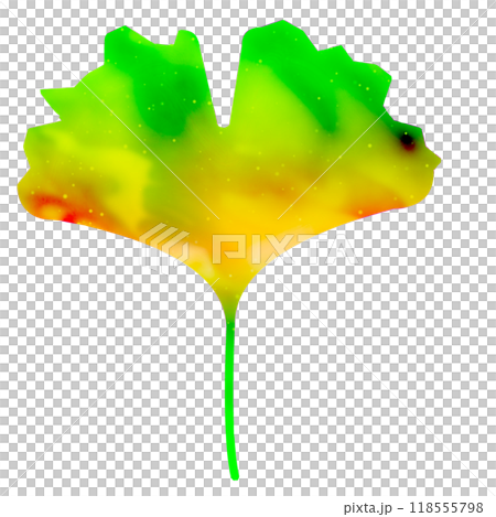 銀杏葉 118555798