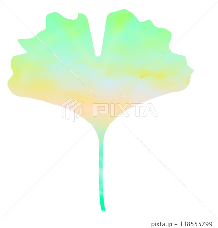 銀杏　イチョウ 118555799