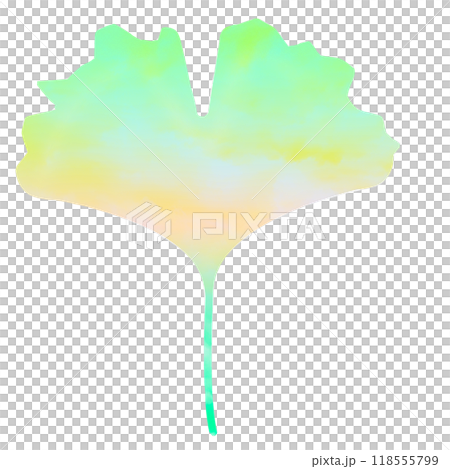 銀杏　イチョウ 118555799