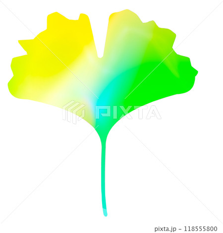 銀杏 イチョウ 銀杏 イチョウ 118555800