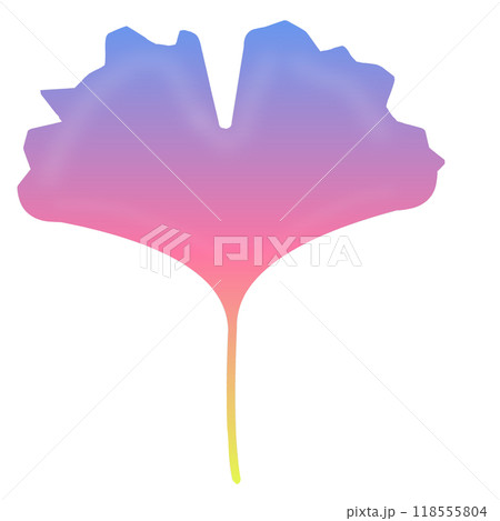 銀杏 イチョウ 銀杏 イチョウ 118555804