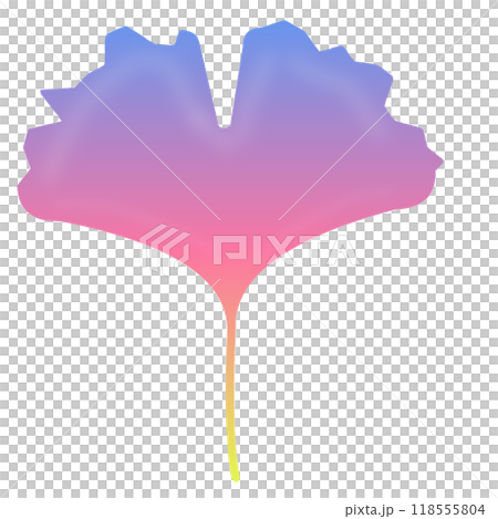 銀杏 イチョウ 銀杏 イチョウ 118555804