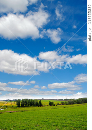 Idylic farmlandscape 118555889