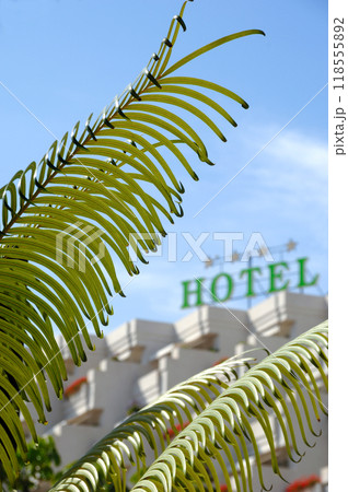 Palm and hotel Palm and hotel 118555892