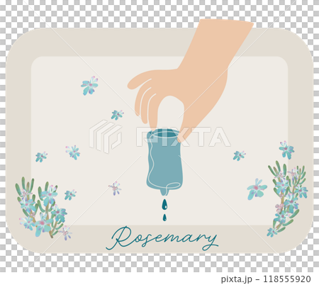 An illustration of dripping rosemary essential oil and lots of rosemary flowers 118555920