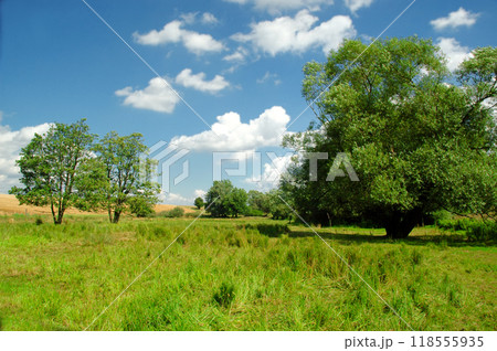 Idyllic landscape Idyllic landscape 118555935