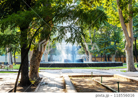 alley with water fountain in public English Park 118556016