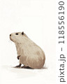Cute capybara illustration. kawaii animal. Flat cartoon style. 118556190