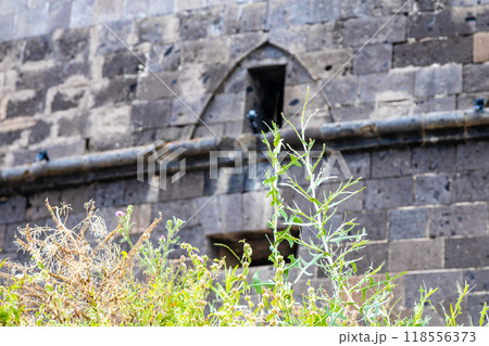 green grass stalk and wall of black fortress 118556373