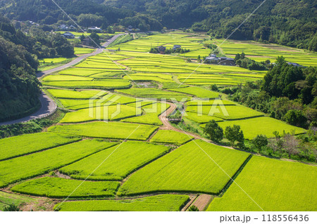 田染荘 118556436