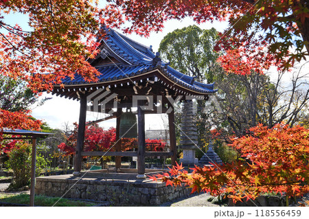 乙訓寺の鐘楼 乙訓寺の鐘楼 118556459