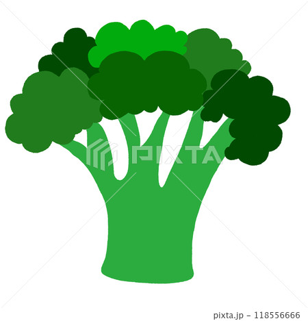 Hand drawn broccoli for vegan, vegetable, healthy ingredients, cook book, fresh food, snack, nature, garden, brooch, cute patches, sticker, diet, department store, cuisine, salad mix, side dish Hand drawn broccoli for vegan, vegetable, healthy ingredients, cook book, fresh food, snack, nature, garden, brooch, cute patches, sticker, diet, department store, cuisine, salad mix, side dish 118556666