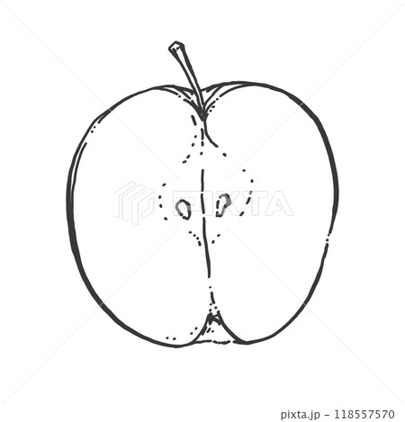 りんごのペン画カットイラスト 118557570