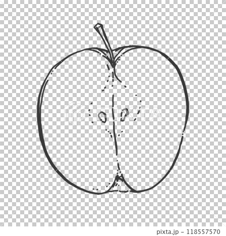りんごのペン画カットイラスト 118557570