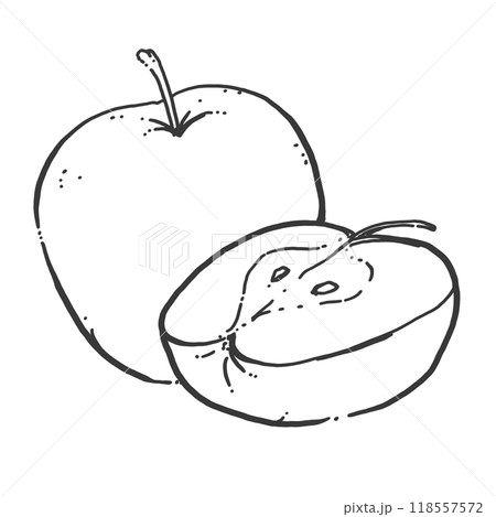 りんごのペン画カットイラスト 118557572
