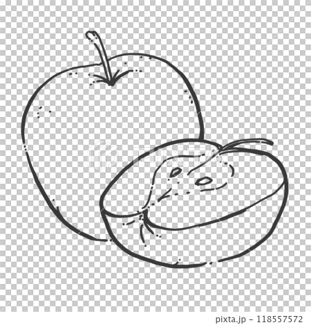 りんごのペン画カットイラスト 118557572