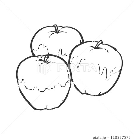 りんごのペン画カットイラスト 118557573