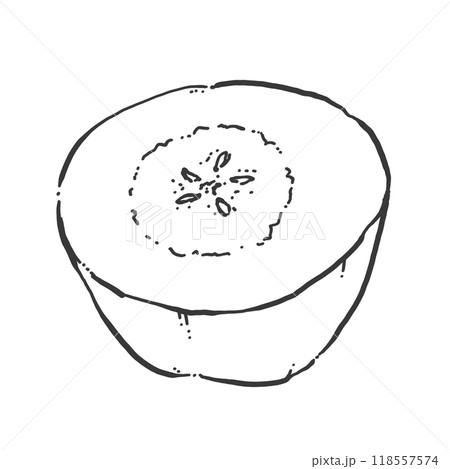 りんごのペン画カットイラスト 118557574