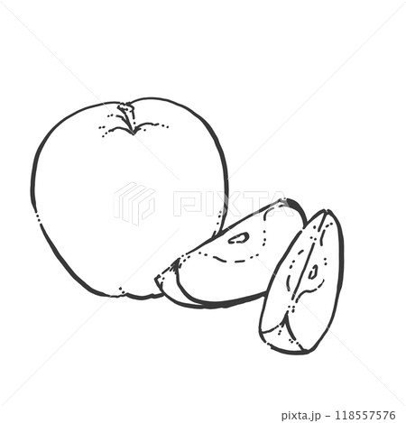 りんごのペン画カットイラスト 118557576