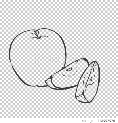 りんごのペン画カットイラスト 118557576