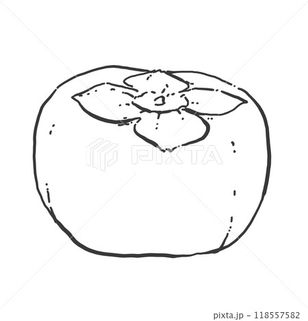 柿のペン画カットイラスト 118557582