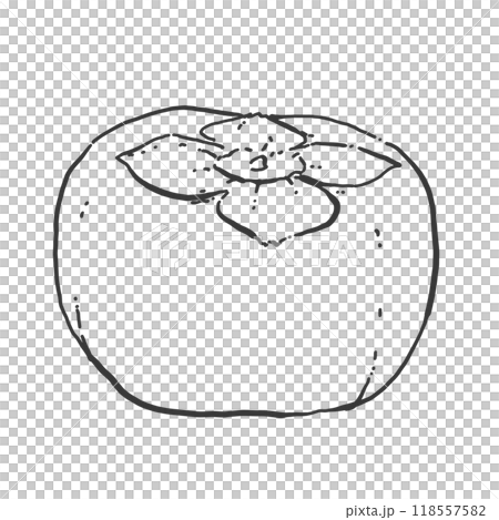柿のペン画カットイラスト 118557582