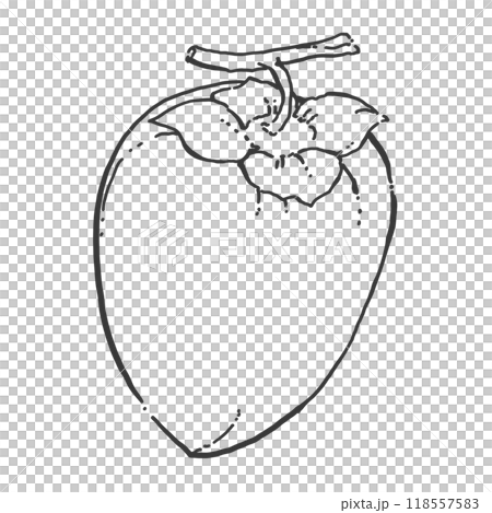 柿のペン画カットイラスト 118557583