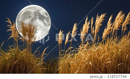 月とすすき 118557744