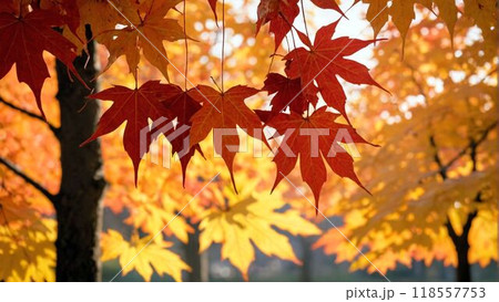 紅葉の秋 118557753