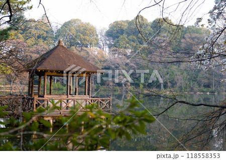 池のある風景（石神井公園・三宝寺池） 118558353