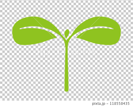 双葉のアイコン 118558435