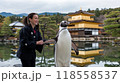 京都出張ペンギンショー 118558537