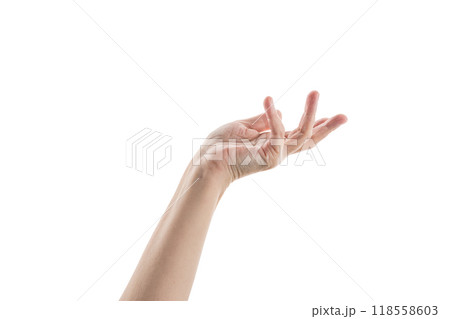 Empty mid aged woman hand to hold or show isolated on white 118558603