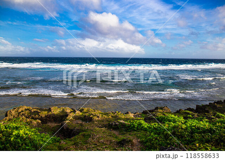 自然美しい波と海 118558633