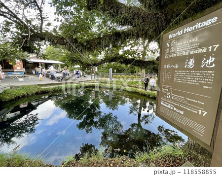 【山梨県】忍野八海 湧池 【山梨県】忍野八海 湧池 118558855