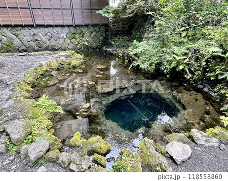 【山梨県】忍野八海 お釜池 118558860