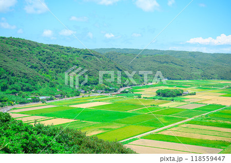 鹿児島 種子島の風景 鹿児島 種子島の風景 118559447